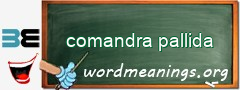 WordMeaning blackboard for comandra pallida